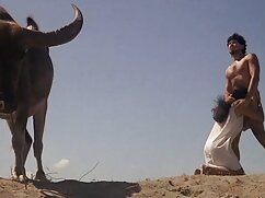 80 gái trong trắng, đồ sex sinh vien tap the lót cho đến khi cô ấy cô